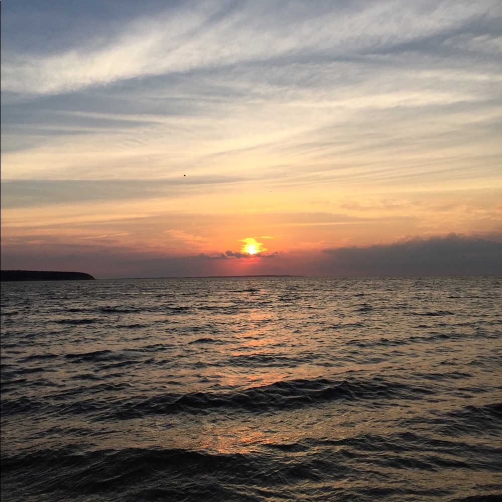 Meet your Posher, Toni